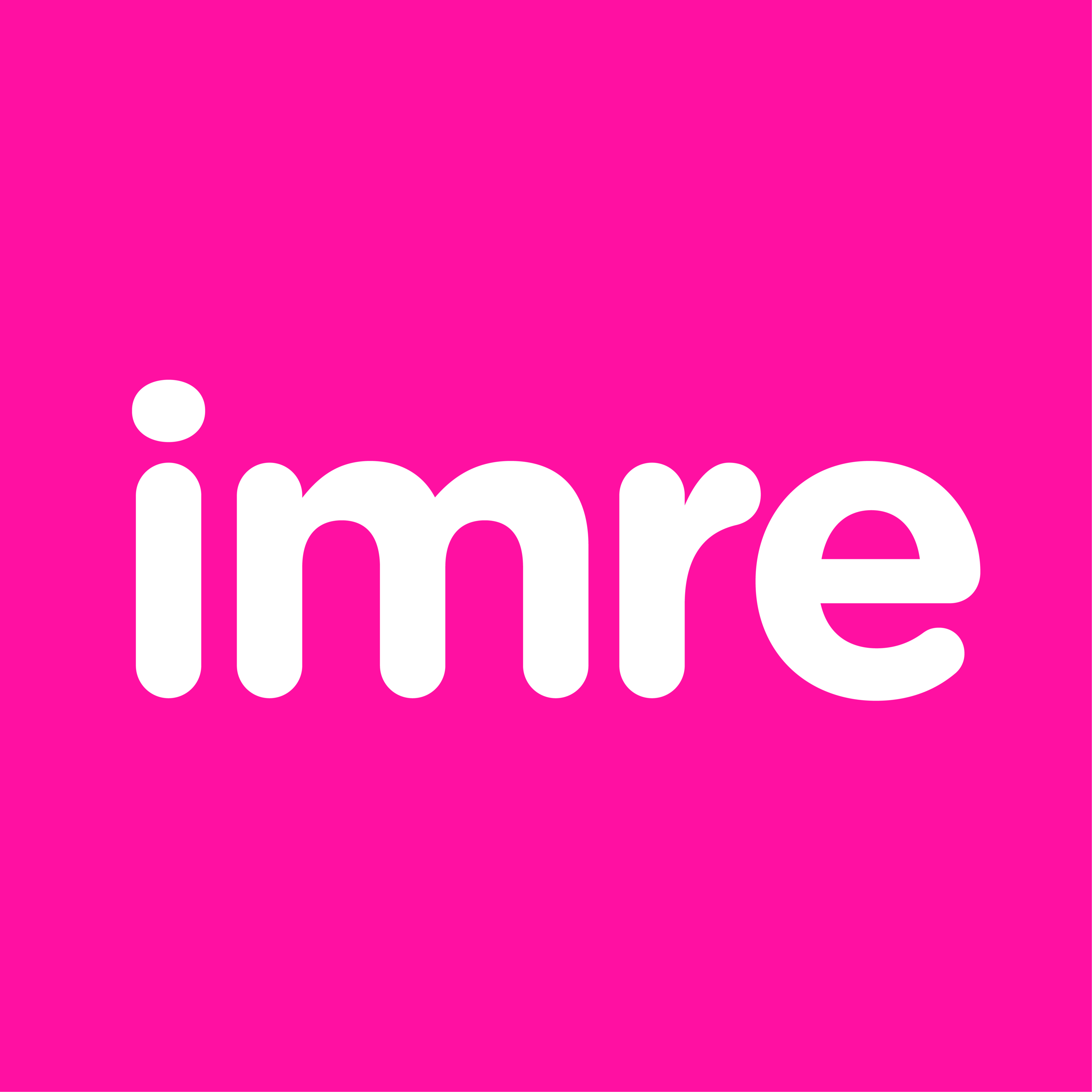 Imre  logo
