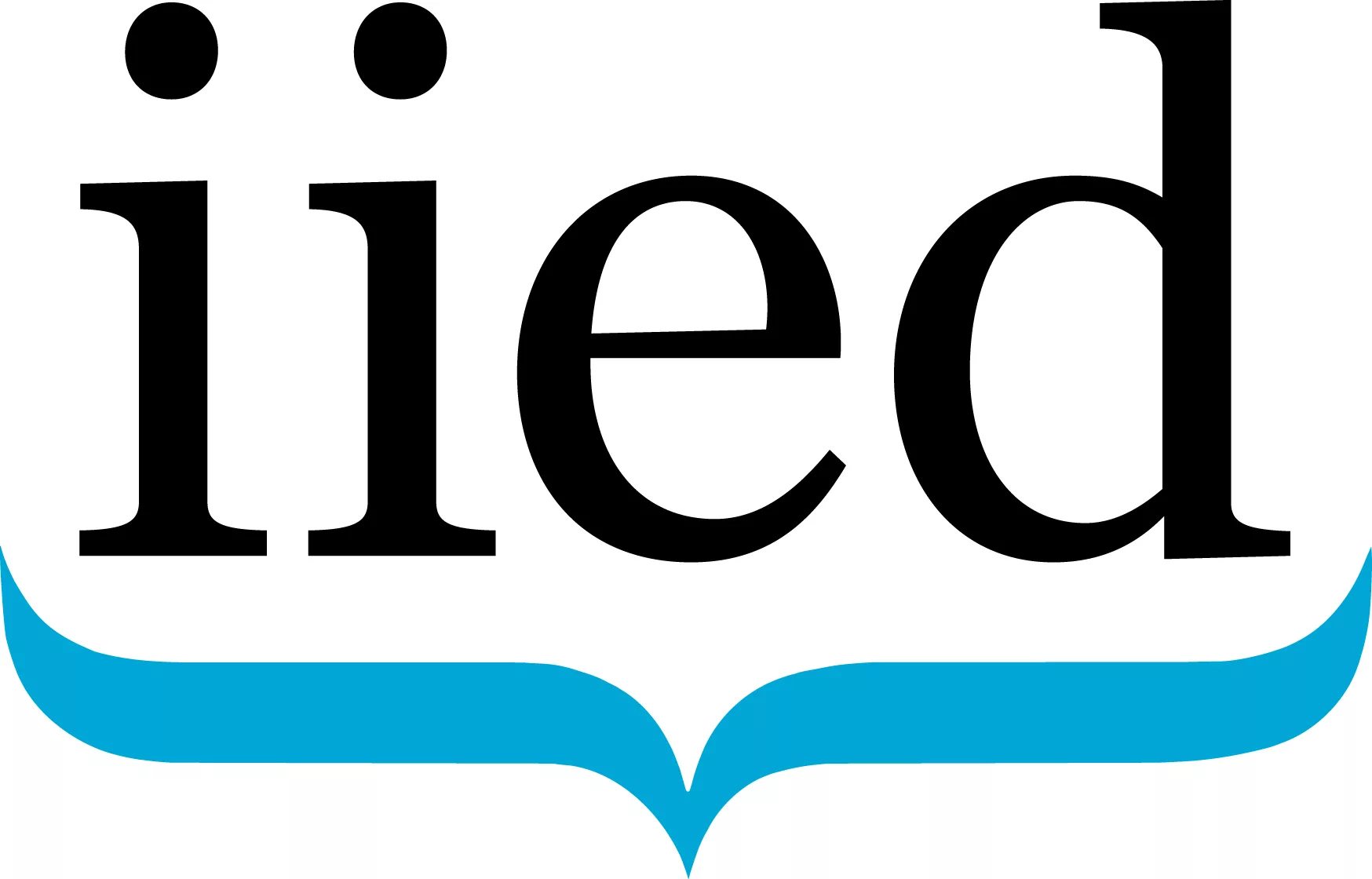 Sponsor logo