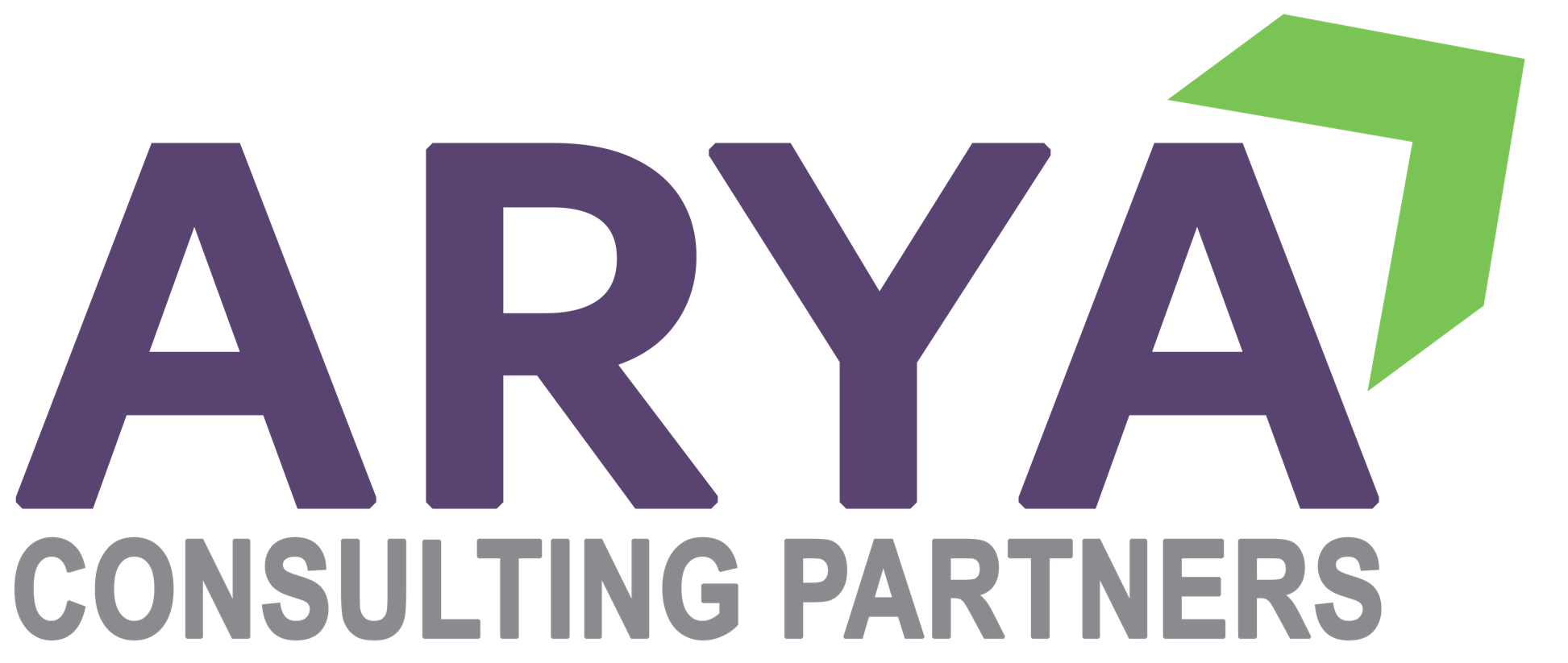 Arya Consulting Partners logo