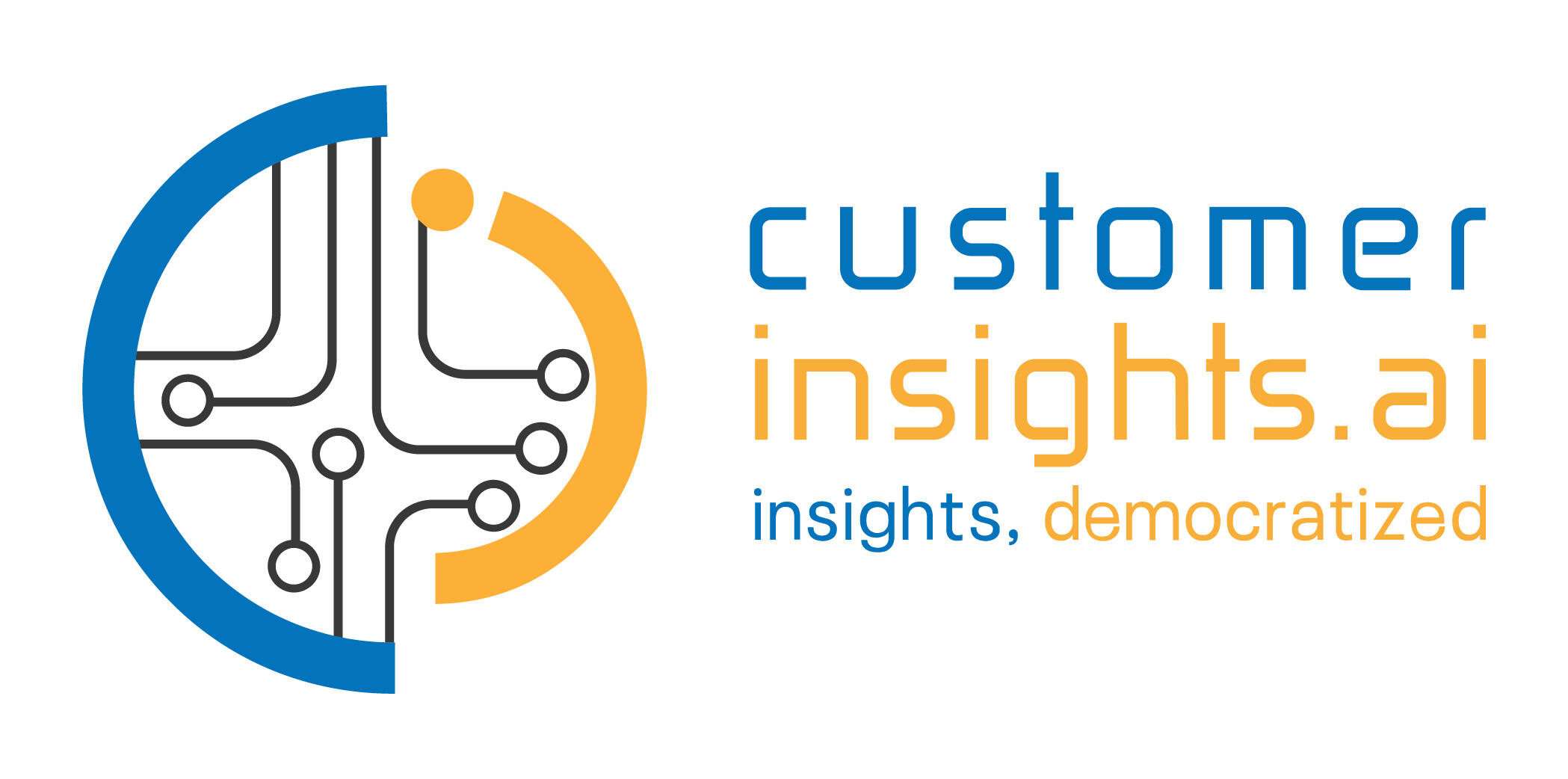 CustomerInsightsAI: insights, democratized logo