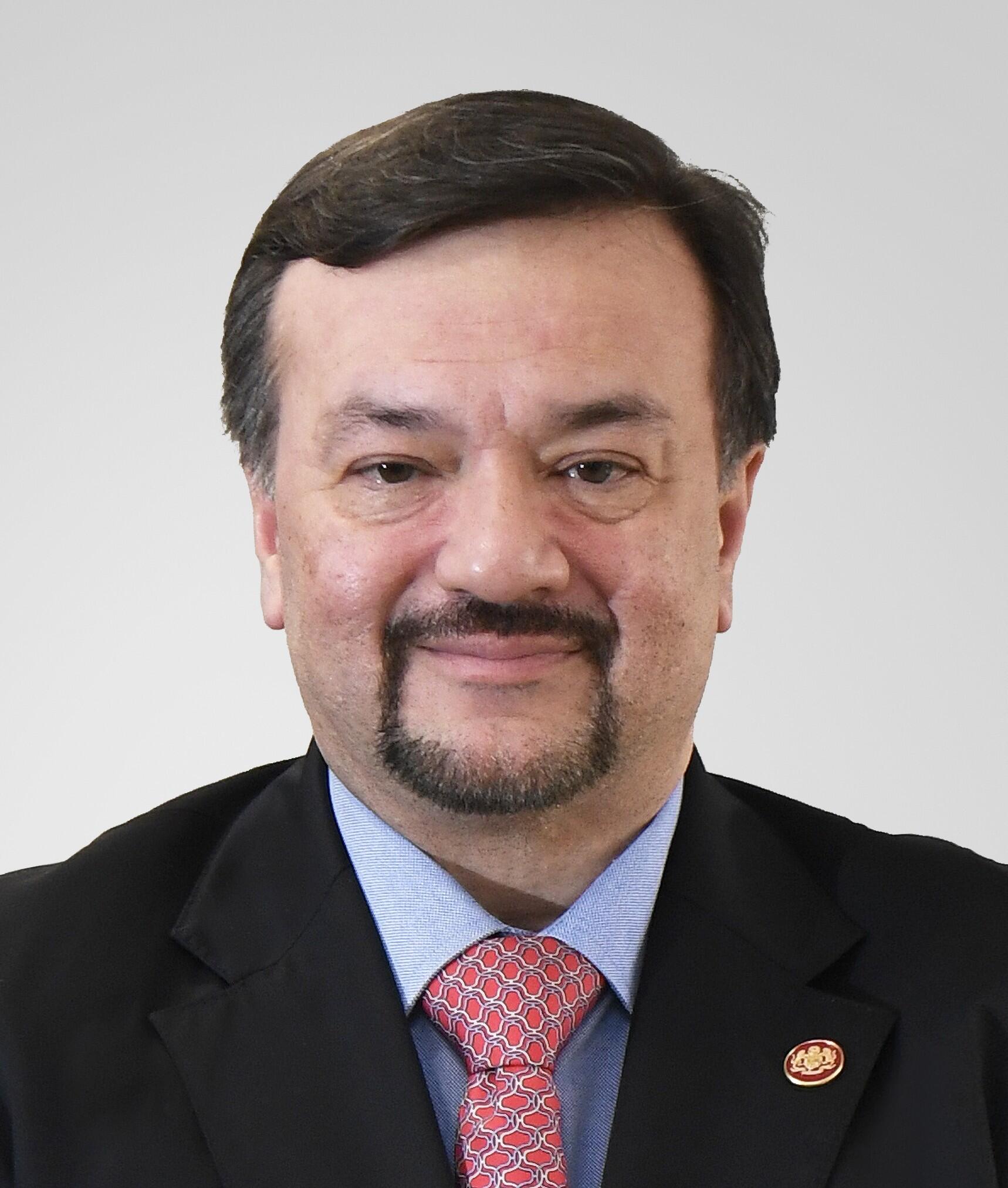 Amir Hamzah Azizan headshot