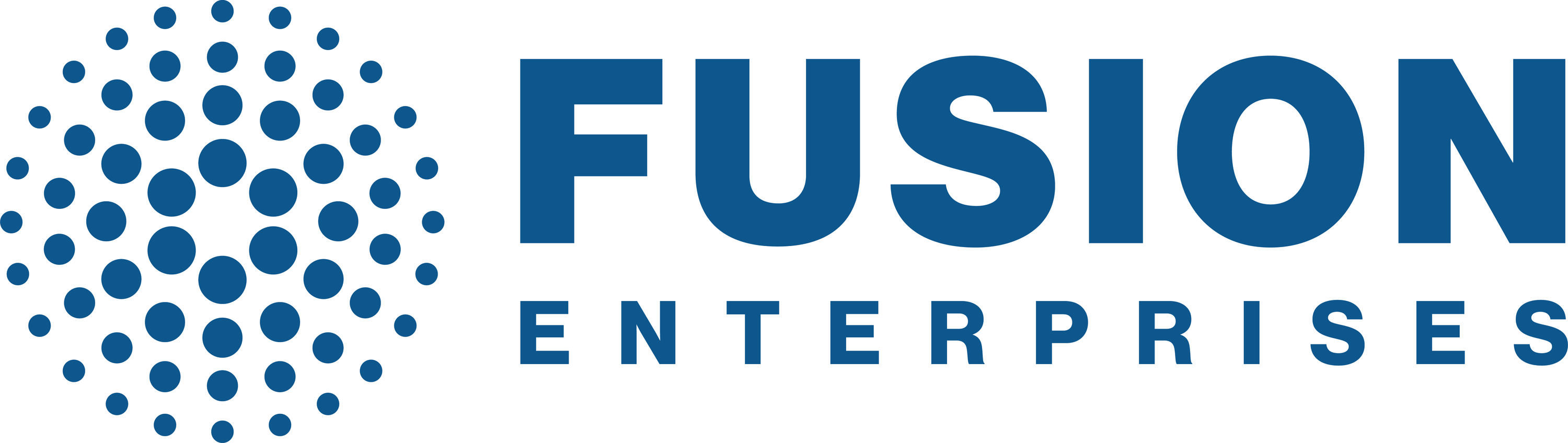 FUSION ENTERPRISES logo
