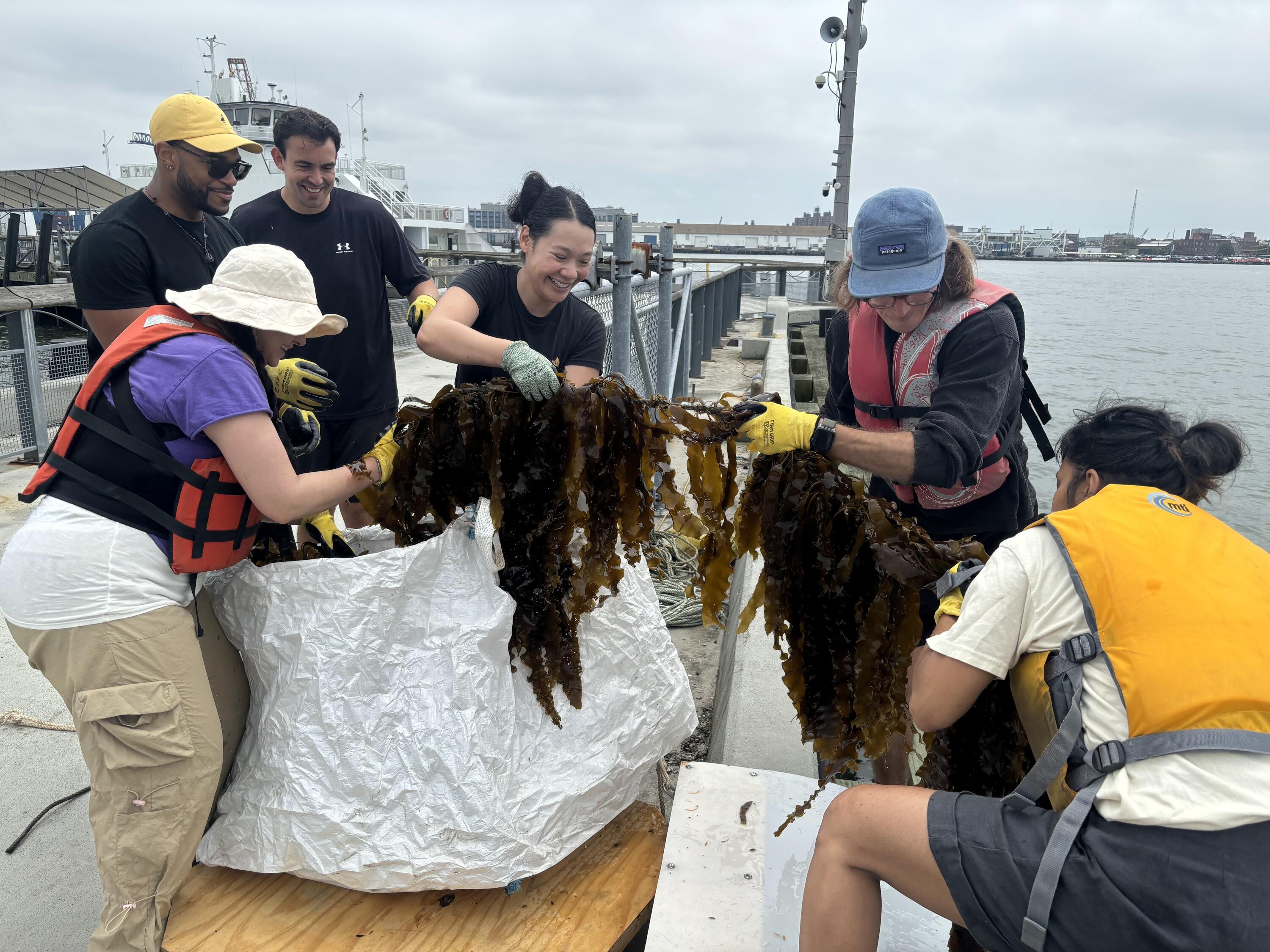 SCE Public Programs: Seaweed City - Regenerative Futures