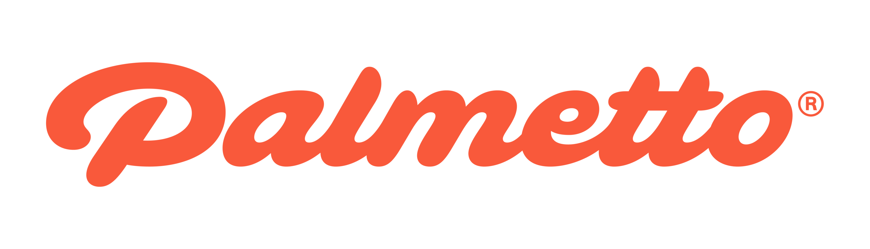 Palmetto Logo