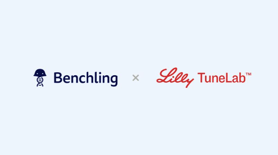 Placeholder image alt text