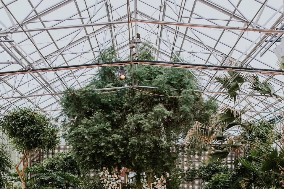 Placeholder image alt text