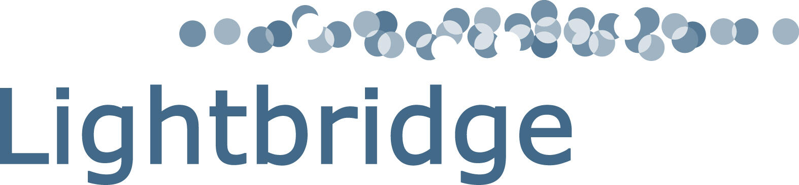 Lightbridge logo