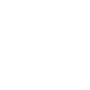 Netskope Icon