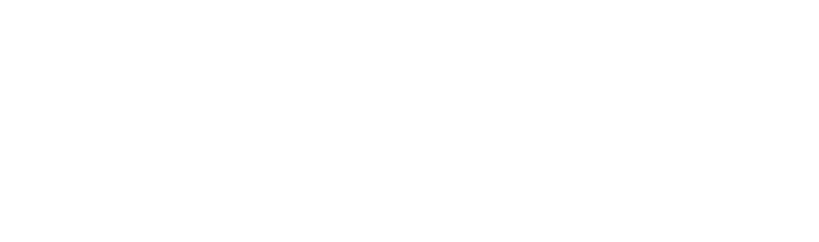 The Insurer ReinsuranceMonth Logo