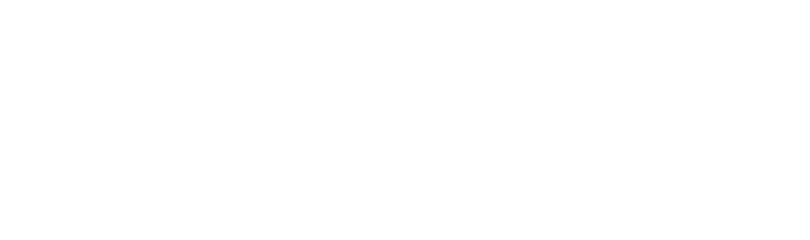 The Insurer ReinsuranceMonth Logo