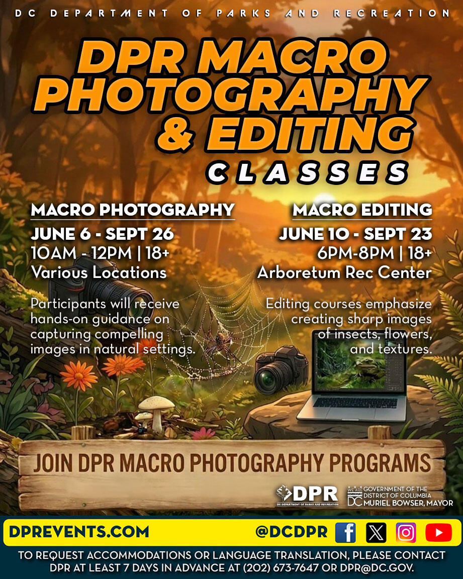 Placeholder image alt text