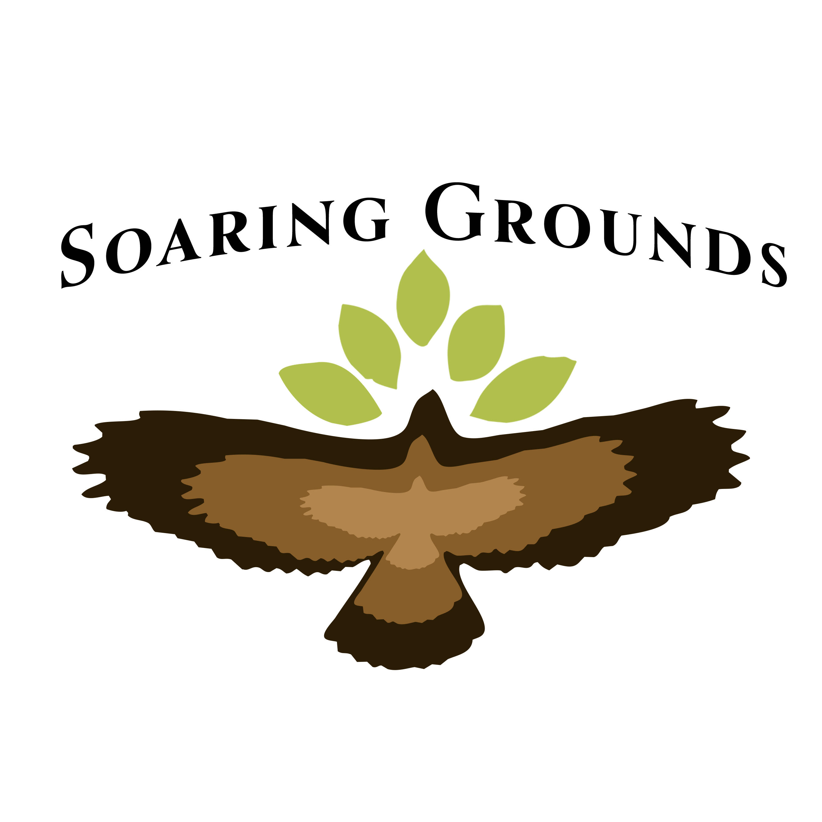 Placeholder image alt text