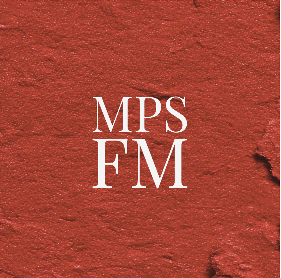 MPS Fashion Alumni Panel
