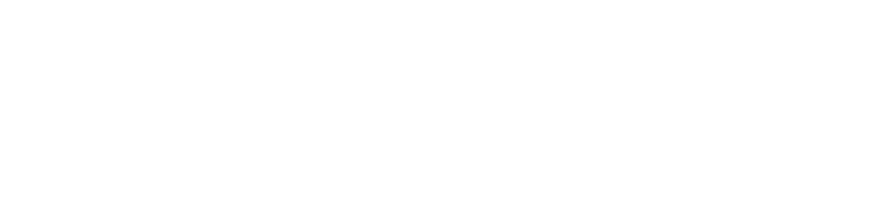 Bentley Systems White Logo