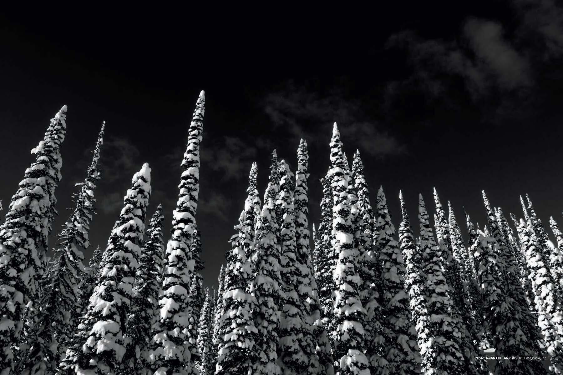 Placeholder image alt text