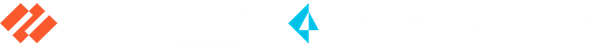Palo Alto Networks